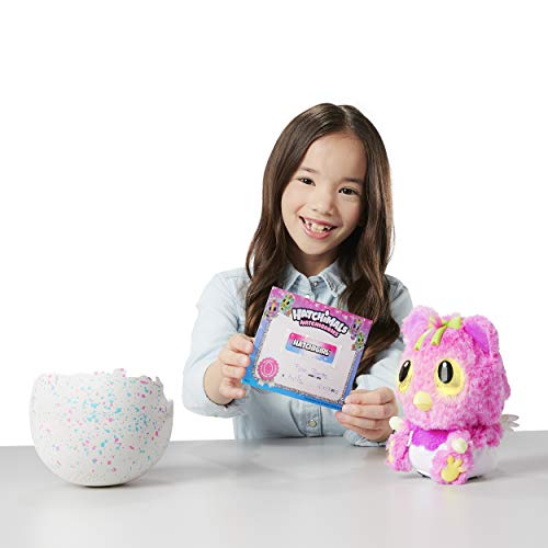 Spin Master Hatchimals Hatchibabies - Cheetree