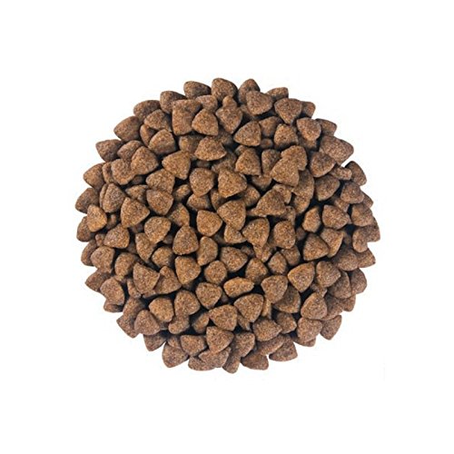 Hill's Prescription Diet R/d Weight Loss Croquettes Pour Chien 4kg Poulet