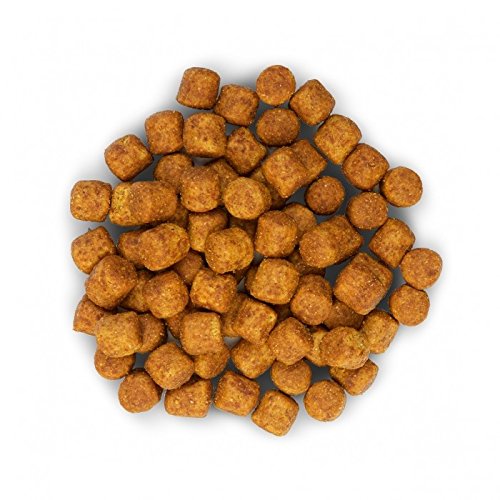 Hill's Science Plan Adult Healthy Mobility Pour Grand Chien Au Poulet 14kg