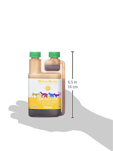 Lbm Solution Incontinence Des Chiens 250 Ml Hilton Herbs