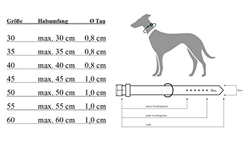 Hunter Freestyle Collier De Dressage Ave