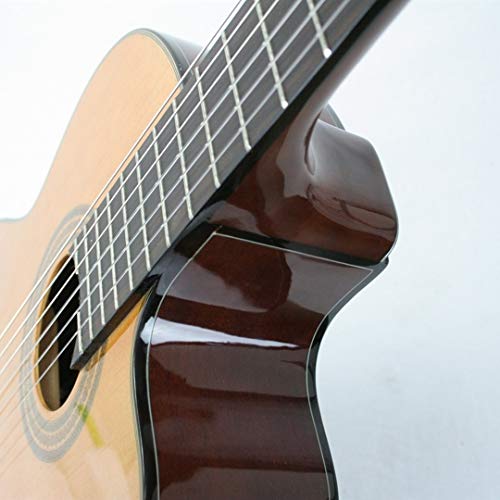 Ibanez Ga6ce-am Guitare Classique Elect ...