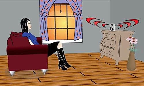 Sonnette Innovadvance Cb501 Infrarouge Sans Fil 50 M Impermeable Petit Chat