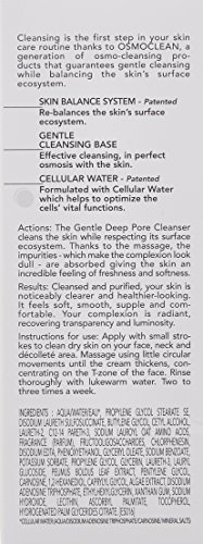 Institut Esthederm Osmoclean Gentle Deep Pore Cleanser Creme Nettoyante Douce Anti Pores Engorges 75 Ml
