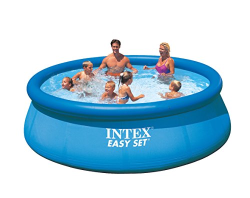 Intex 12ft X 30in Easy Set Pool Set