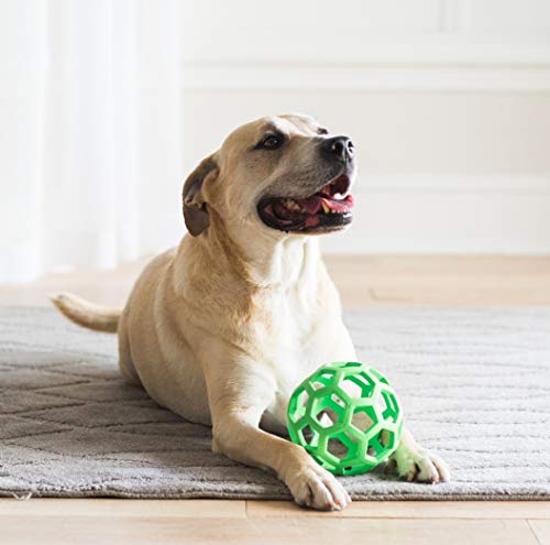 Hol ee Roller JW Pet Coloris Vert Taille Jumbo