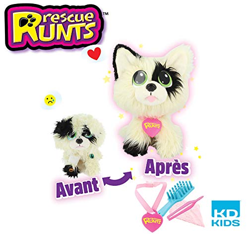 Kd Kids - Rescue Runts - Border Collie P...