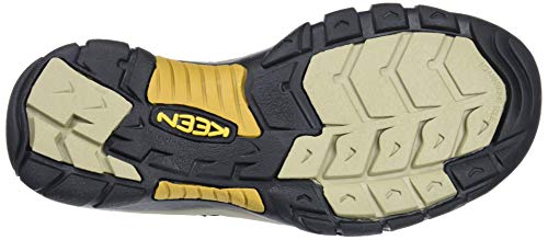 Sandales Keen Newport H2 Gris Cuir Homme