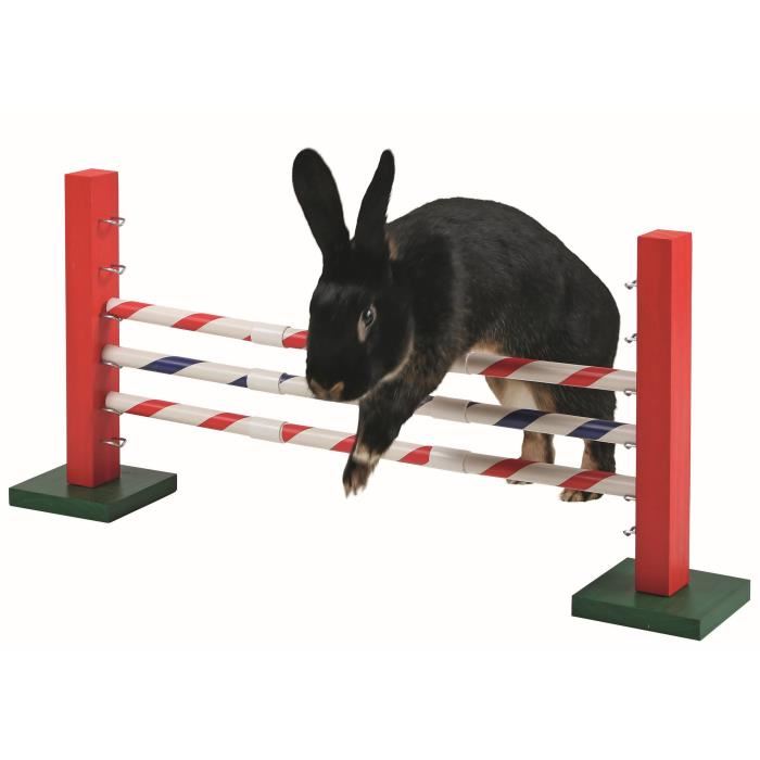 Obstacle Agility Pour Rongeurs - Kerbl