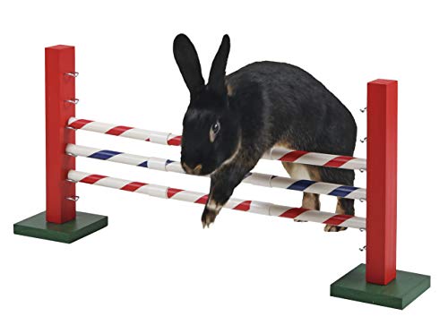 Obstacle Agility pour Rongeurs - Kerbl