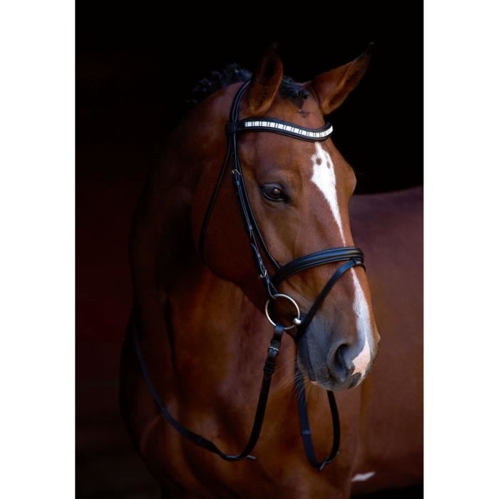 Kerbl Bridon Shine On Noir Cheval De Selle