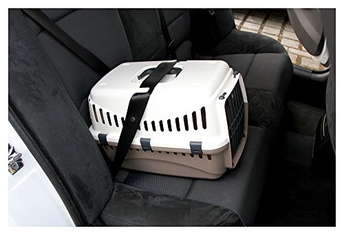 Kerbl Box De Transport Pour Chien Expedition Cremebordeaux 48x32x32cm Petit Chien Exterieur