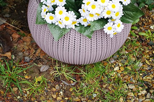 KETER Chalet et Jardin - 12-929142 Pots ...