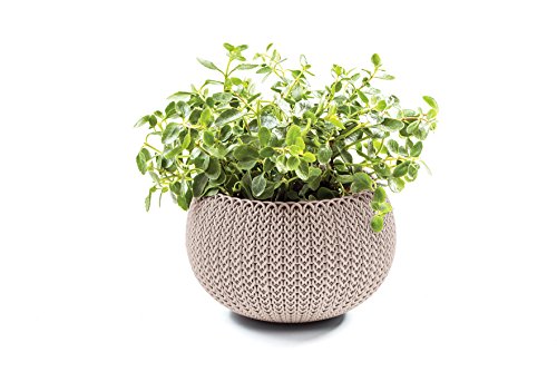 KETER Chalet et Jardin - 12-932371  Pot...