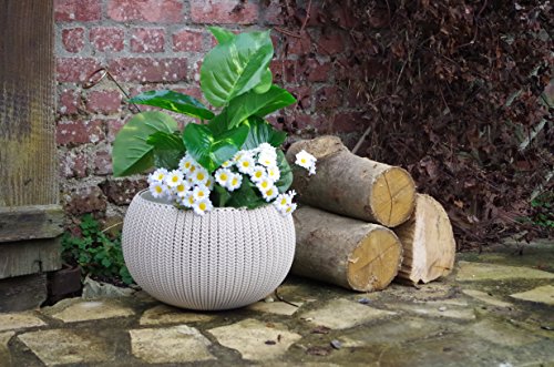 Cache Pot Tricote S Beige