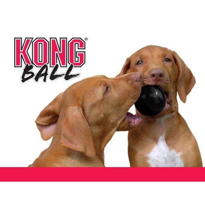 Kong Extreme Ball Lot De 2 Jouets Pour C...