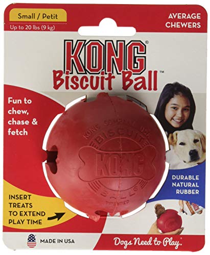 Kong Balle pour Chien Taille S
