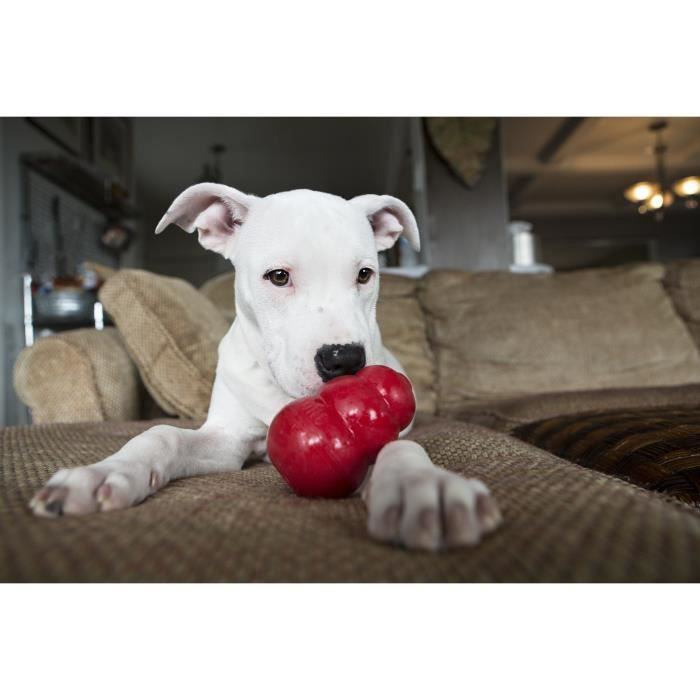 KONG Jouet a macher rebondissant en caoutchouc naturel Classic Extra Small Rouge Pour chien