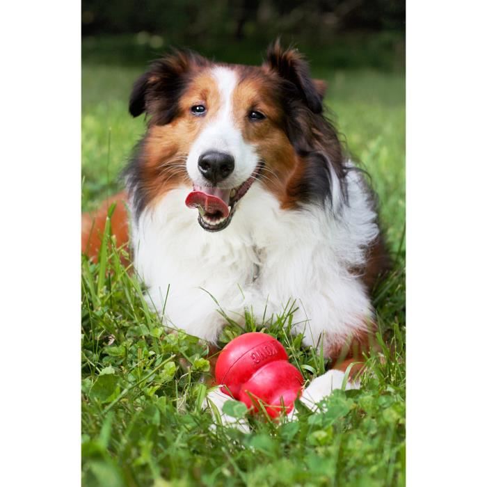 Kong Jouet A Macher Rebondissant En Caoutchouc Naturel Classic Extra Small - Rouge - Pour Chien