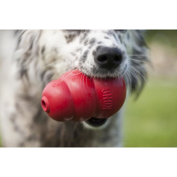 Jouet kong classique rouge medium