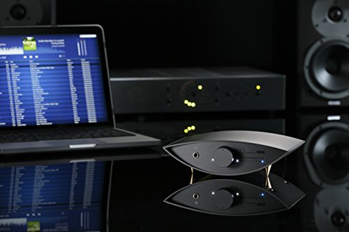 Audio Convertisseurs Audio Ds Dac 100 Korg