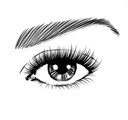 Loreal Paris Mascara Volume Million Lashes Excess Noir