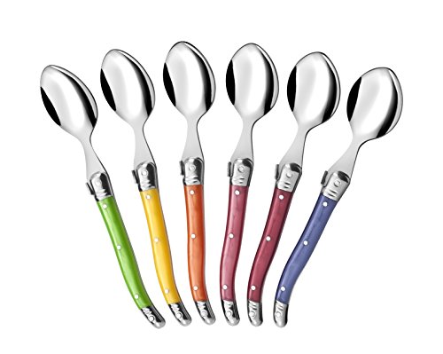 PRADEL EXCELLENCE Boite de 6 cuilleres a cafe Laguiole Acier inoxydable Pastel nacre