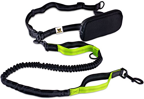Laisse De Jogging Laisse Pour Chiens Reflechissante Et Elastique De 120 Cm 