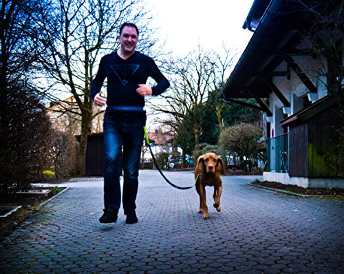 Laisse De Jogging Laisse Pour Chiens Reflechissante Et Elastique De 120 Cm 