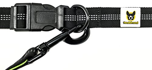 Laisse De Jogging Laisse Pour Chiens Reflechissante Et Elastique De 120 Cm 
