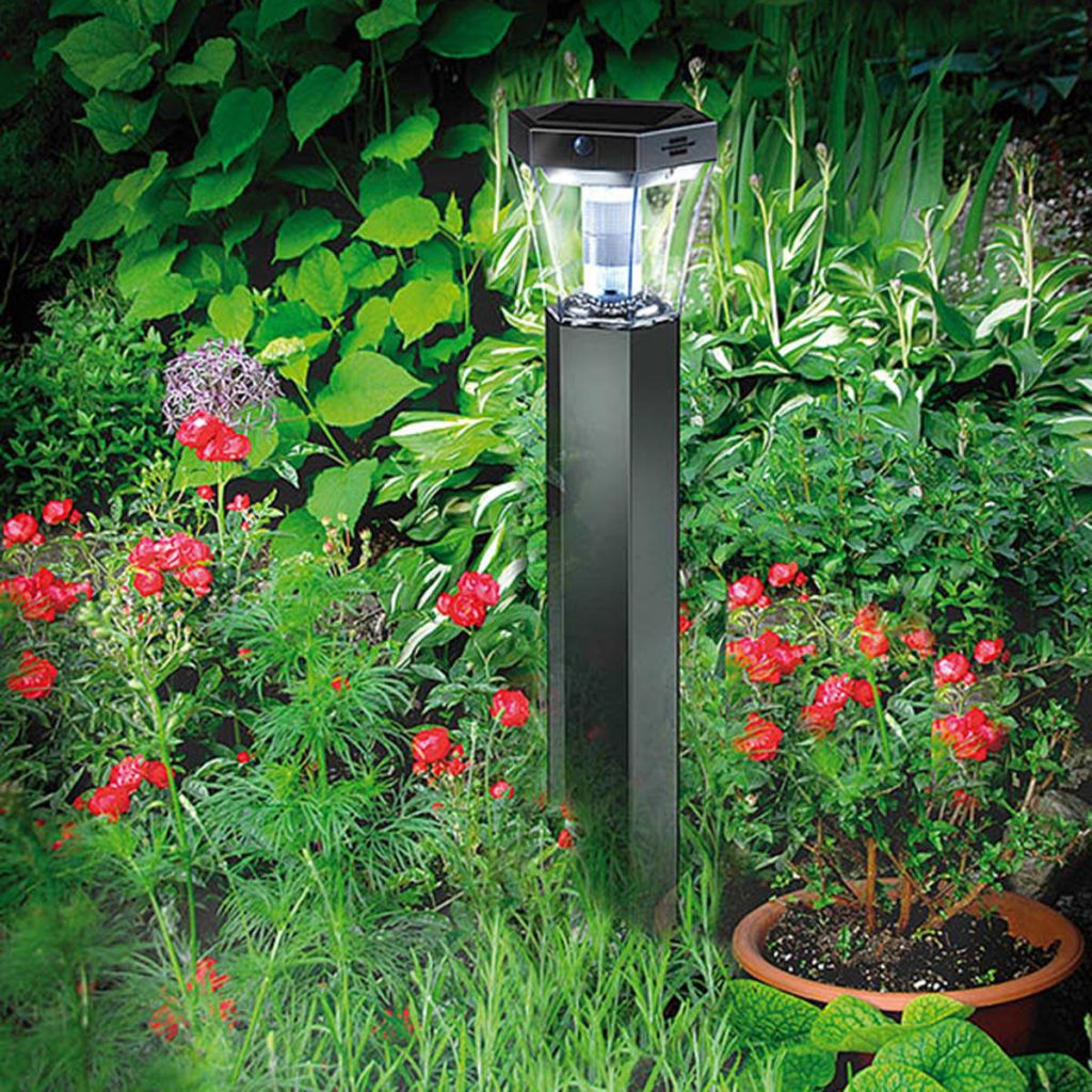 Brennenstuhl Lampe Led A Energie Solaire Sol Fl13007 13,5 X 70
