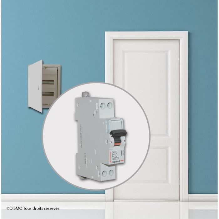 Disjoncteur Phase + neutre 10A LEGRAND