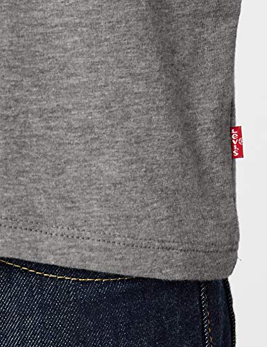 Levis Sportswear Logo Graphic T Shirt 