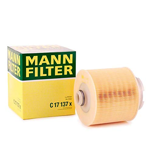 10x Mann-filter Filtre À Air C 17 137 X Filtre À Air