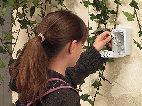 Armoire De Securite Masterlock Boite A Cles 5401eurd Format M