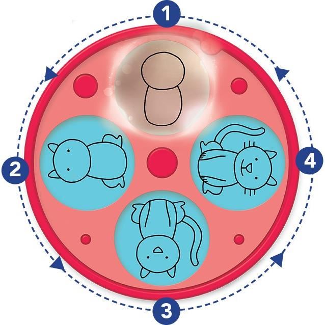 Nathan - Dessineo - Mon Atelier De Dessin Avec Plateforme Lumineuse - Pour Enfant Des 4 Ans