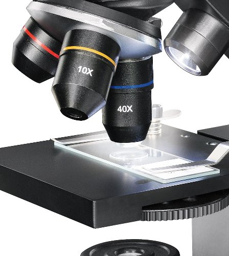 Jumelles Telescopes - National Geographic 40x-1280x Microscope Support Smartphone