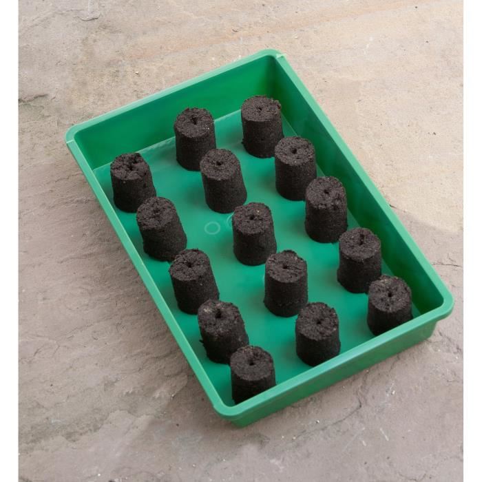 Nature Presse Mottes