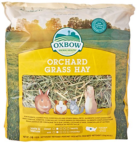 Orchard Grass Petlife Oxbow Herbe Pour R...