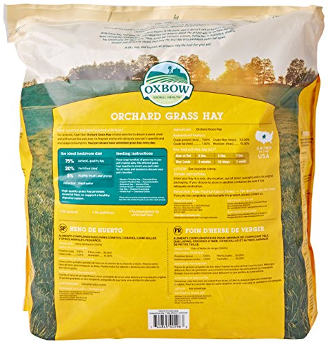 Orchard Grass Petlife Oxbow Herbe pour r...