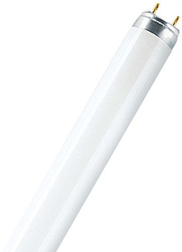 Osram L 36 W/965 Tube Fluorescent Biolux 10 x 1 LF