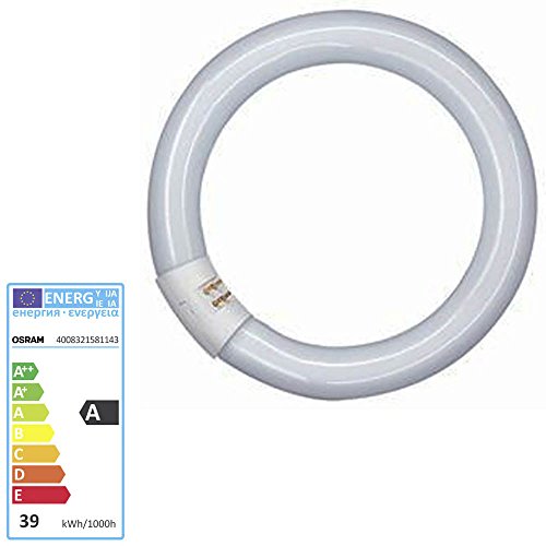 Tube Fluo Circulaire Osram Diametre 26 Mm - G10q - 32w - Blanc Froid