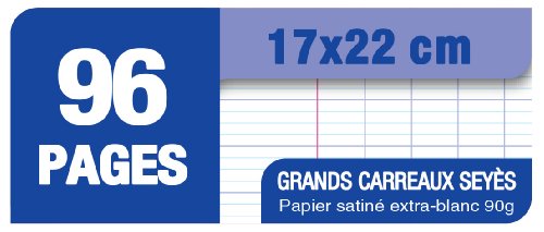 Lot 5 Cahiers Carte Oxford Agrafes 96 Pages 90g Grands Carreaux Seyes 17x22 Cm