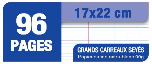 Lot 5 Cahiers Carte Oxford Agrafes - 96 Pages - 90g - Grands Carreaux Seyes - 17x22 Cm