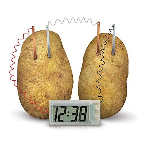 4m Green Science Potato Clock