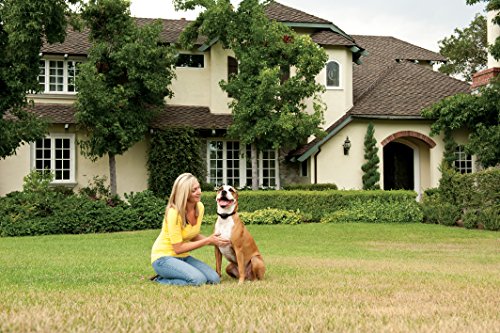 Petsafe Cloture Anti Fugue Sans Fil Portable Et Electrique Pour Chien Stay Play Avec Collier Anti Fugue Rechargeableportee 64m