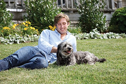 Petsafe collier anti aboiements a ultrasons