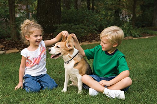 Petsafe Anti Aboiement Nano + 3.6 Kg  Pbc19-12443.