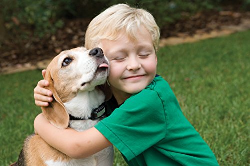 Petsafe Anti Aboiement Nano + 3.6 Kg  Pbc19-12443.