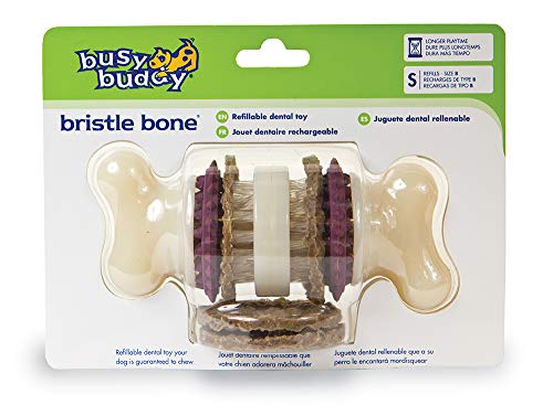 Busy Buddy Jouet Os Bristle Bone taille S